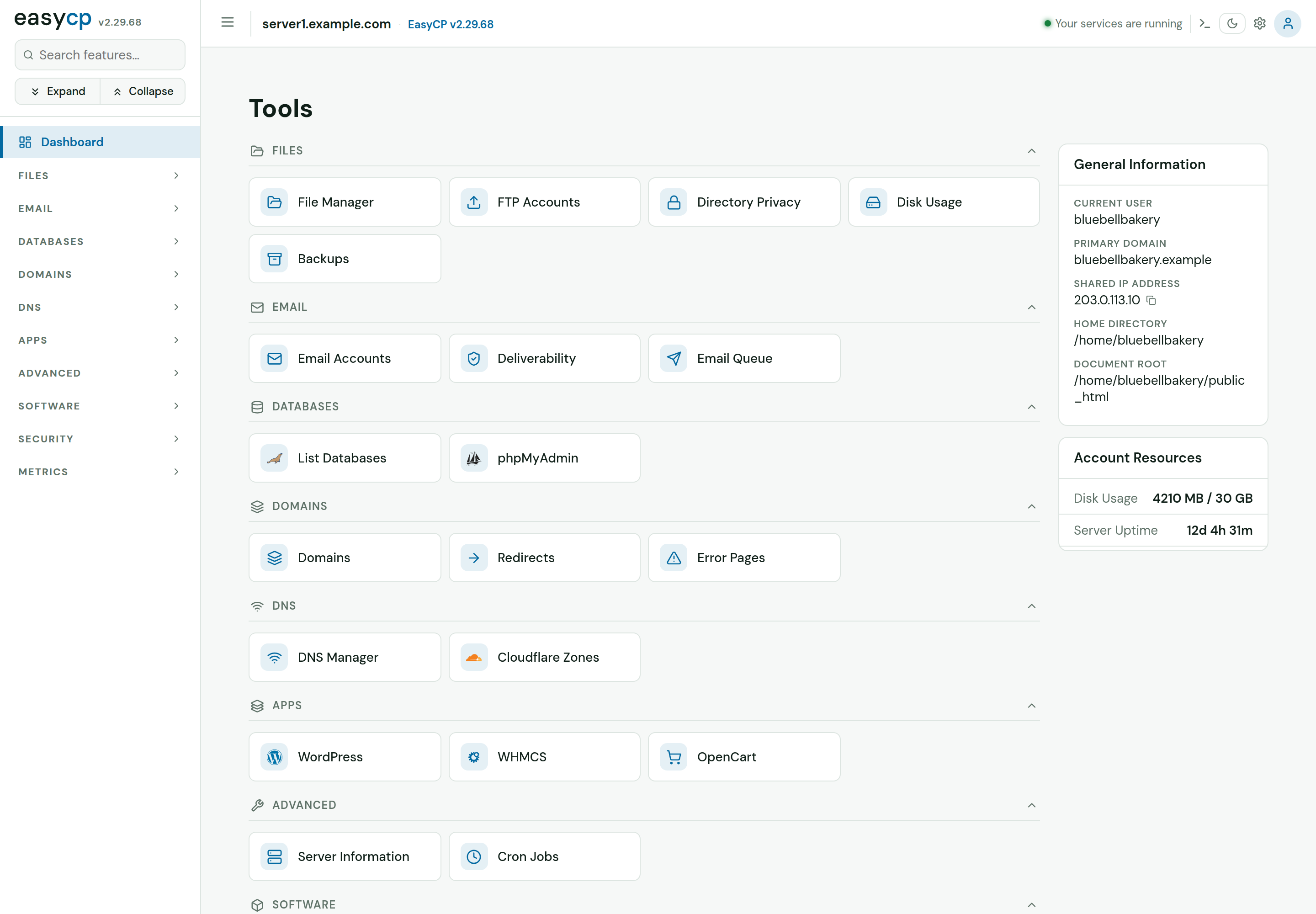 EasyCP What a customer sees: A customer's own home: every tool grouped as Files, Email, Databases, Domains, DNS and Apps, their account details, and their disk use against their plan.