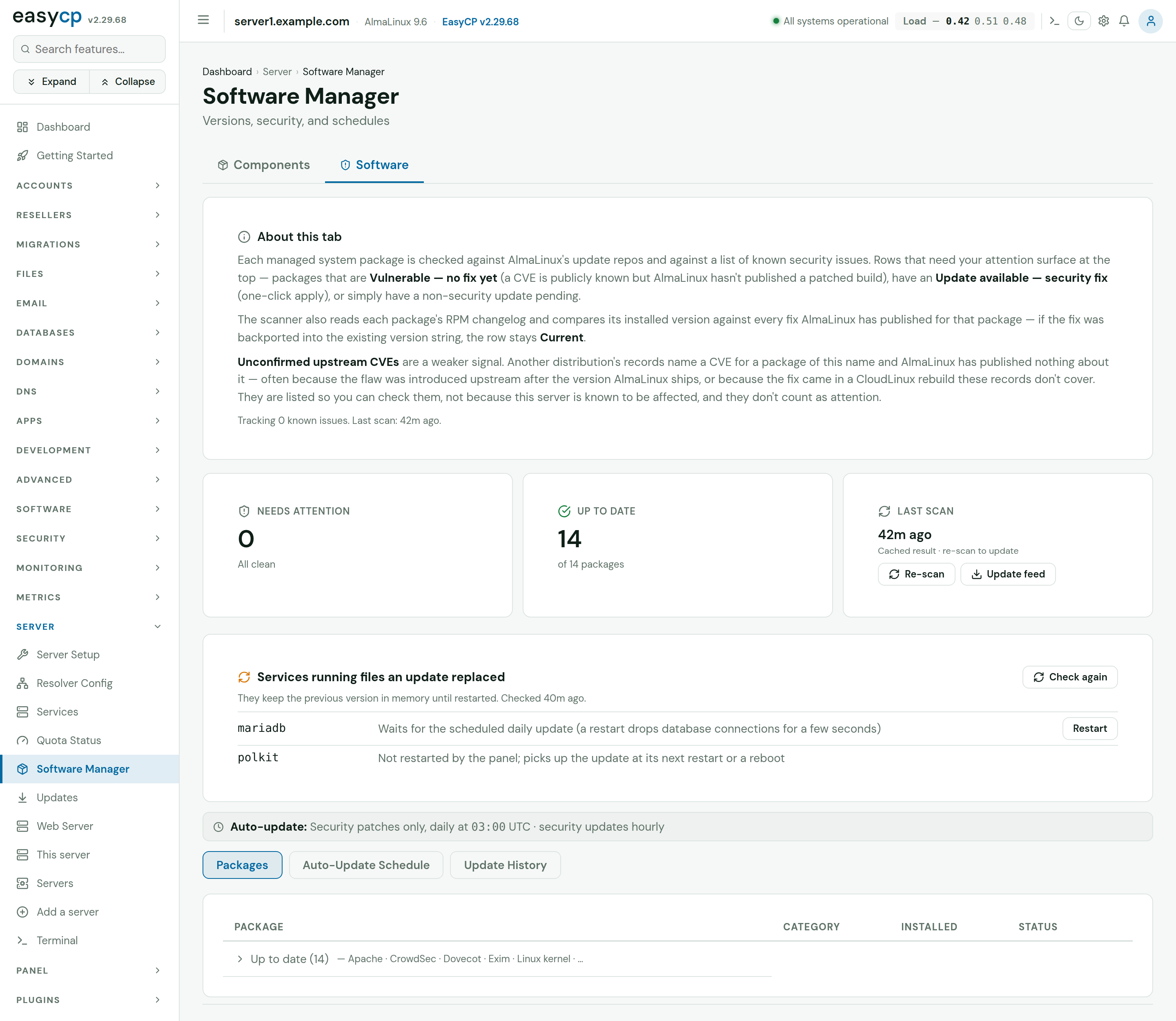 EasyCP Security updates: Every package the panel depends on, checked against AlmaLinux's updates and published security issues, with automatic security updates daily and hourly.